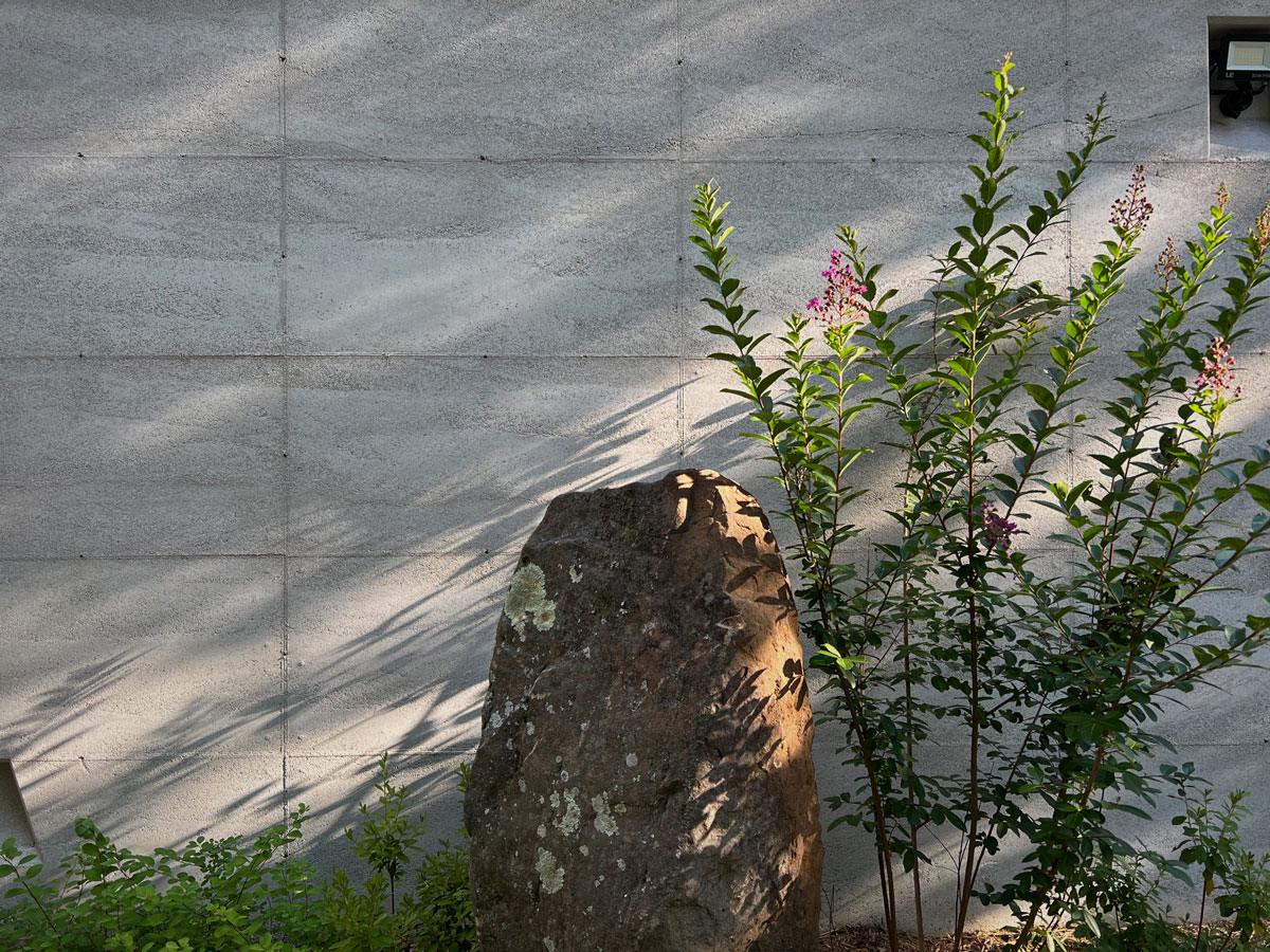 Rammed Earth Wall Construction